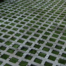 Adocésped 30x45x8 (co)