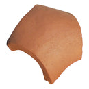 Encuentro universal pocuro